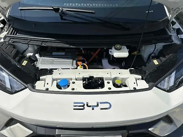 BYD Dolphin Mini - Imagem 8