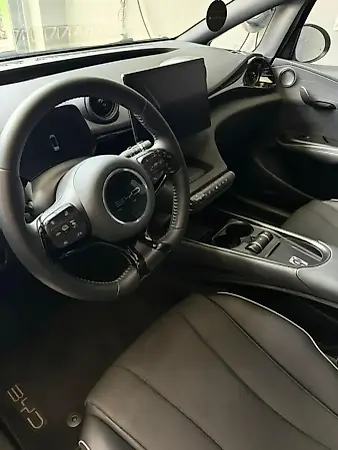 BYD Dolphin Plus - Imagem 4
