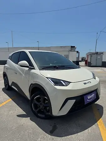 BYD Dolphin Mini - Imagem 9