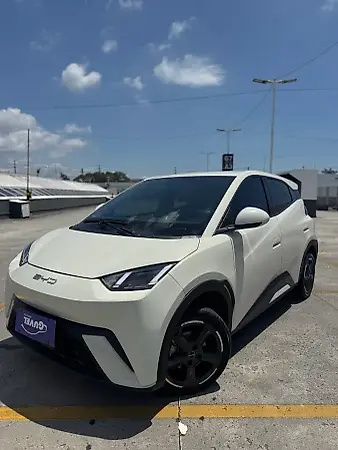 BYD Dolphin Mini - Imagem 14
