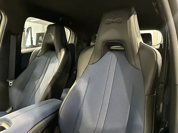 BYD Dolphin - Imagem 12