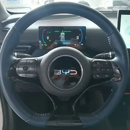 BYD Dolphin Mini - Imagem 10