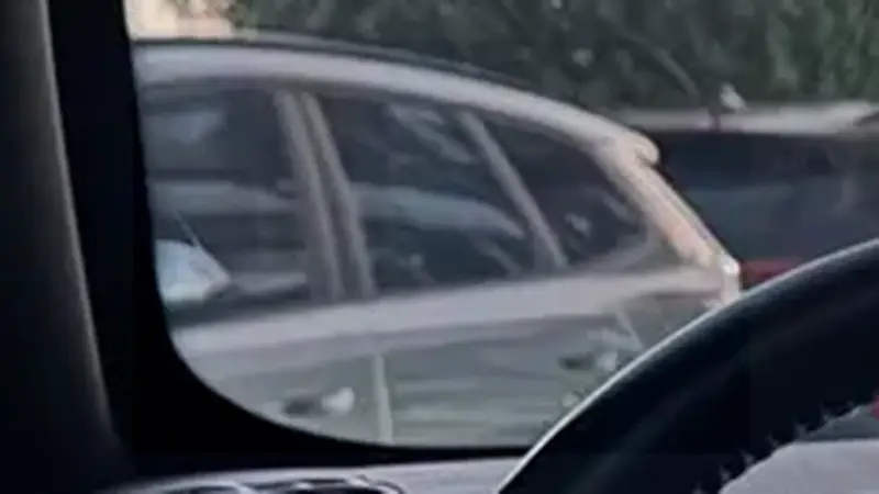 BYD Dolphin Plus - Imagem 6