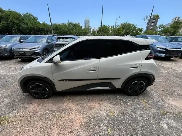 BYD Dolphin Mini - Imagem 4