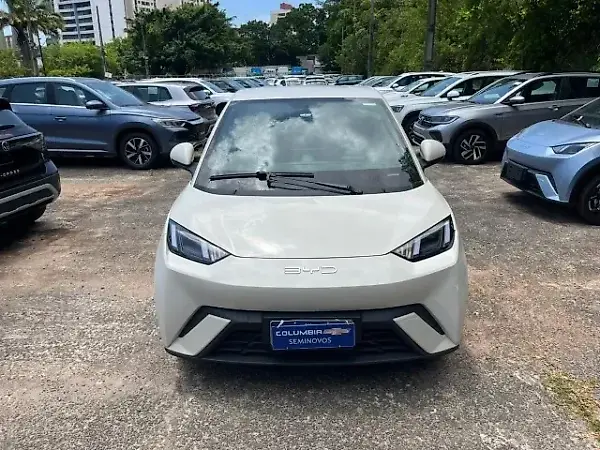 BYD Dolphin Mini - Imagem 2