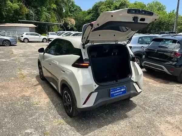 BYD Dolphin Mini - Imagem 8
