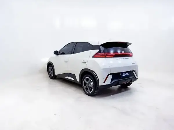 BYD Dolphin Mini - Imagem 8