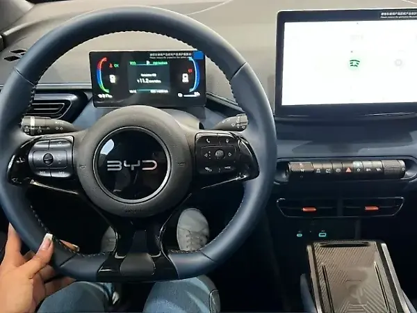 BYD Dolphin Mini - Imagem 17