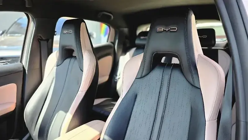 BYD Dolphin Mini - Imagem 2