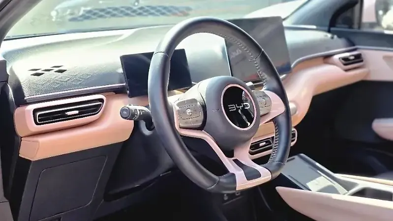 BYD Dolphin Mini - Imagem 4