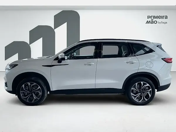 GWM Haval H6 - Imagem 6