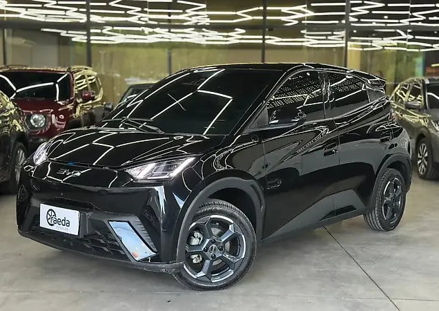BYD Dolphin Mini - Imagem 2