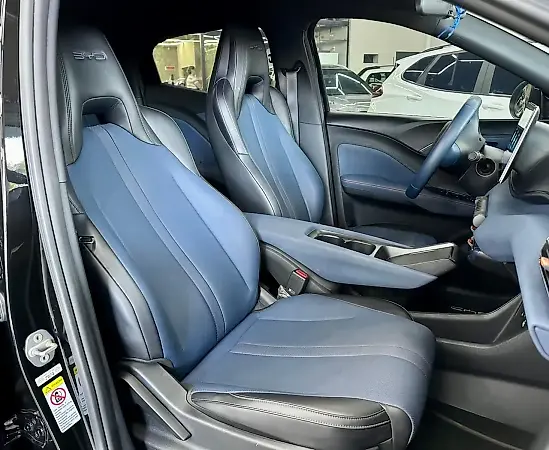 BYD Dolphin Mini - Imagem 10