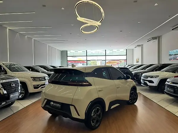 BYD Dolphin - Imagem 6