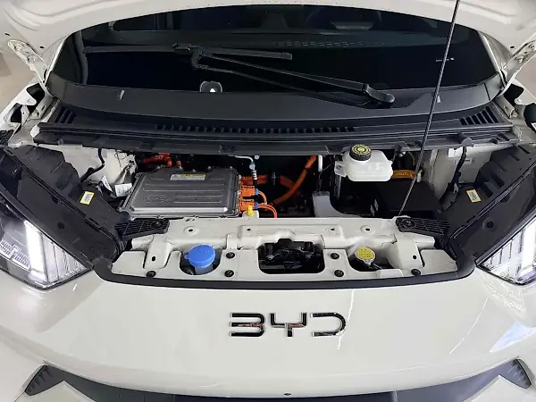 BYD Dolphin Mini - Imagem 16