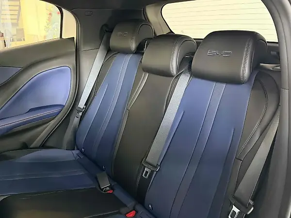 BYD Dolphin Mini - Imagem 15