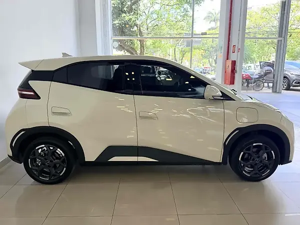 BYD Dolphin Mini - Imagem 20