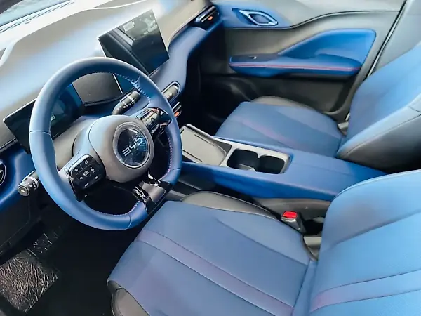BYD Dolphin Mini - Imagem 10