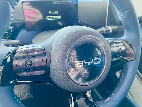 BYD Dolphin Mini - Imagem 12