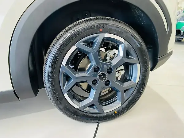 BYD Dolphin Mini - Imagem 18