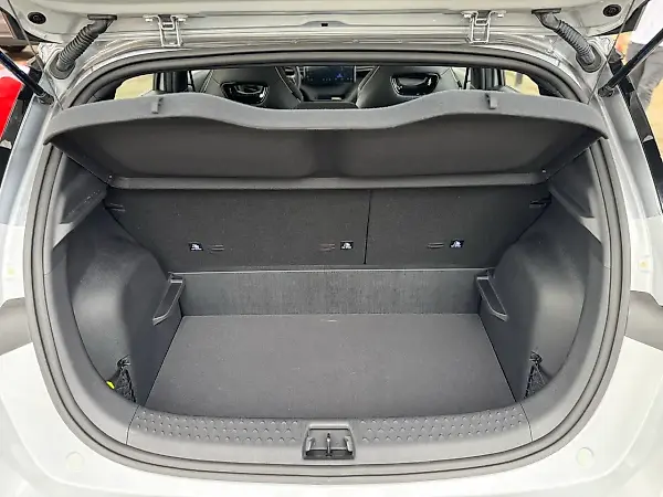 BYD Dolphin Plus - Imagem 13