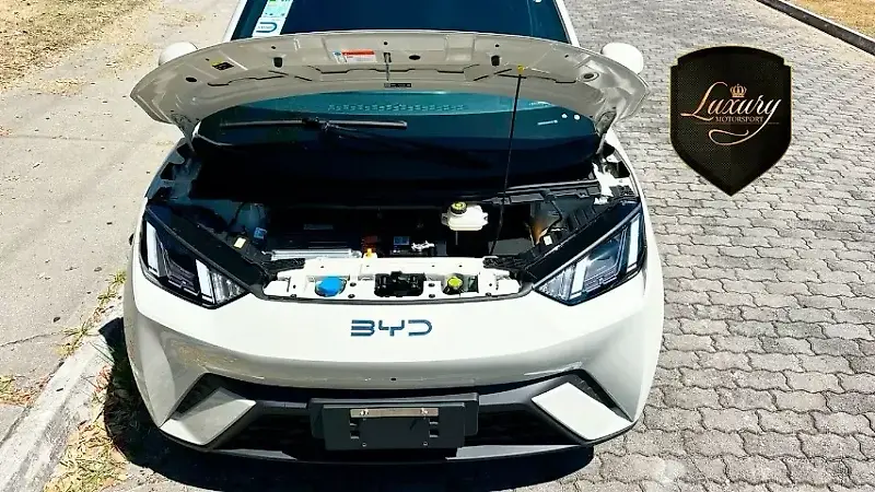 BYD Dolphin Mini - Imagem 16
