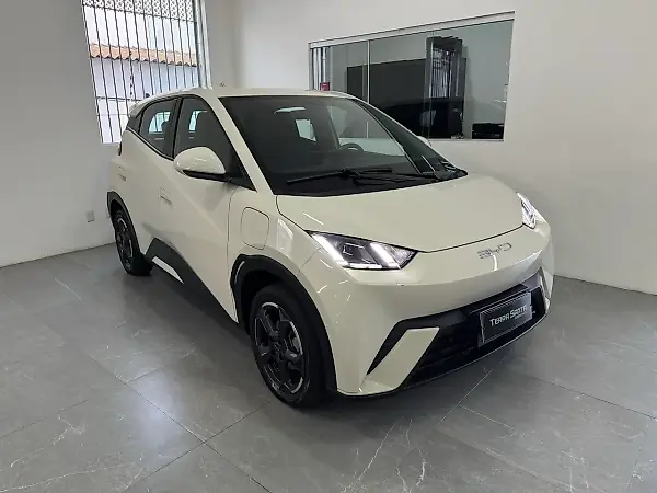 BYD Dolphin Mini - Imagem 2