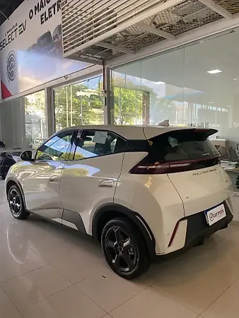 BYD Dolphin Mini - Imagem 6