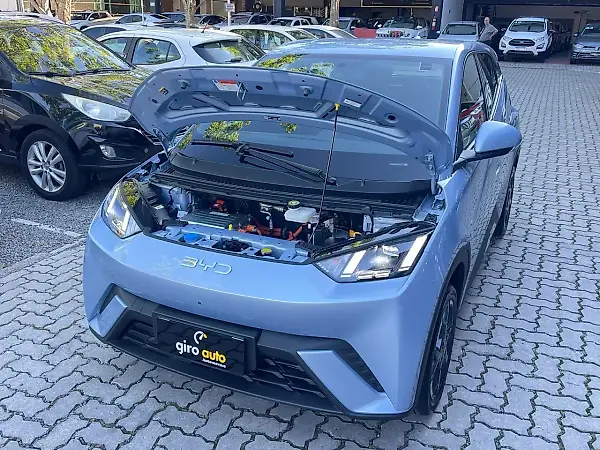 BYD Dolphin Mini - Imagem 16