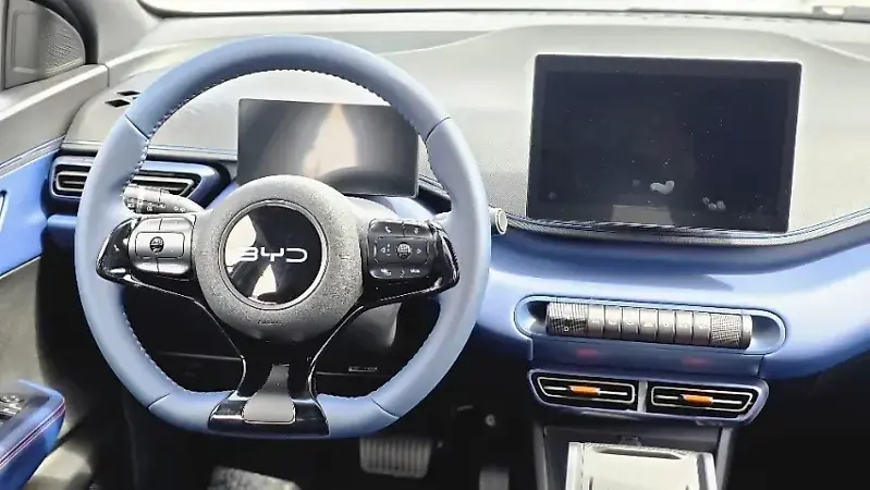 BYD Dolphin Mini - Imagem 18