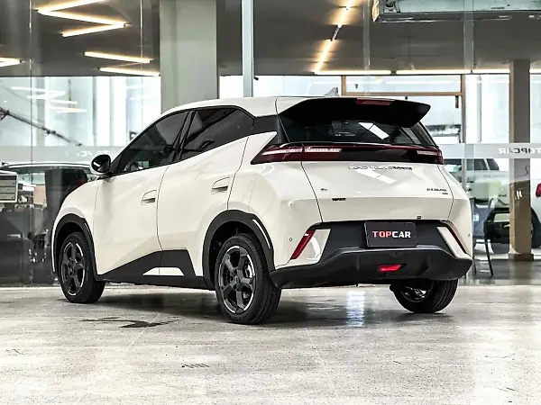 BYD Dolphin Plus - Imagem 3