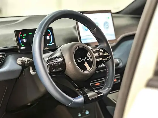 BYD Dolphin Plus - Imagem 8