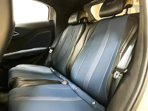 BYD Dolphin Plus - Imagem 13