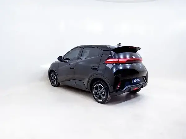 BYD Dolphin Mini - Imagem 12