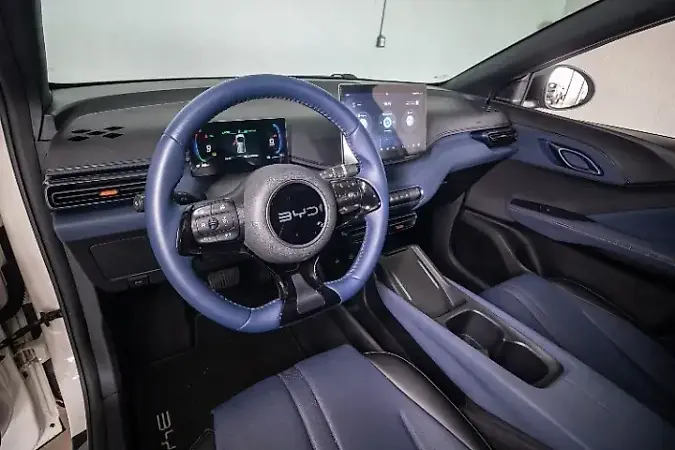 BYD Dolphin Mini - Imagem 14