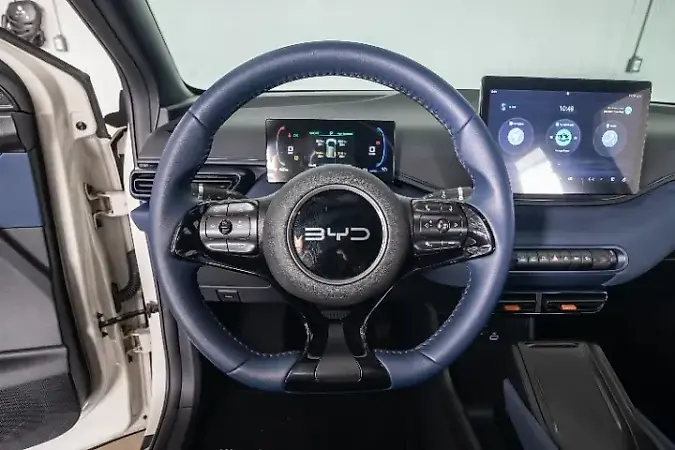 BYD Dolphin Mini - Imagem 13