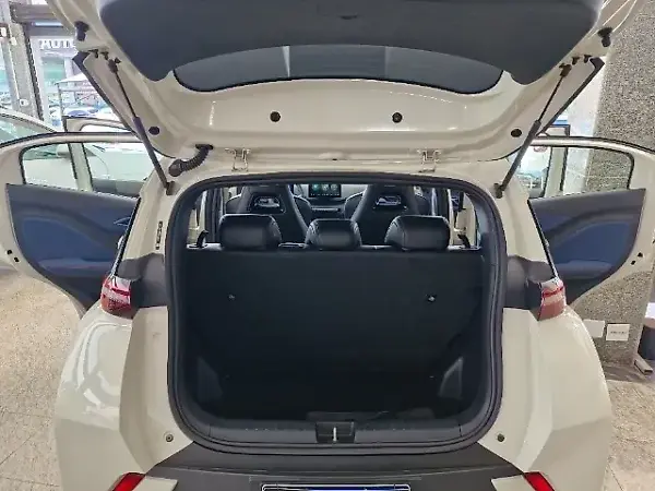 BYD Dolphin Mini - Imagem 10