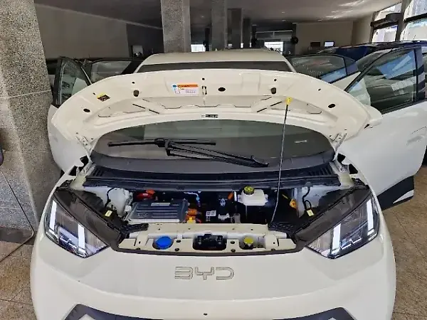 BYD Dolphin Mini - Imagem 11