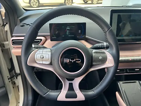 BYD Dolphin Mini - Imagem 11
