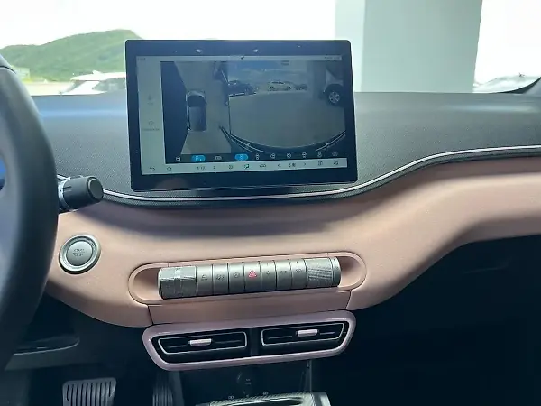 BYD Dolphin Mini - Imagem 12