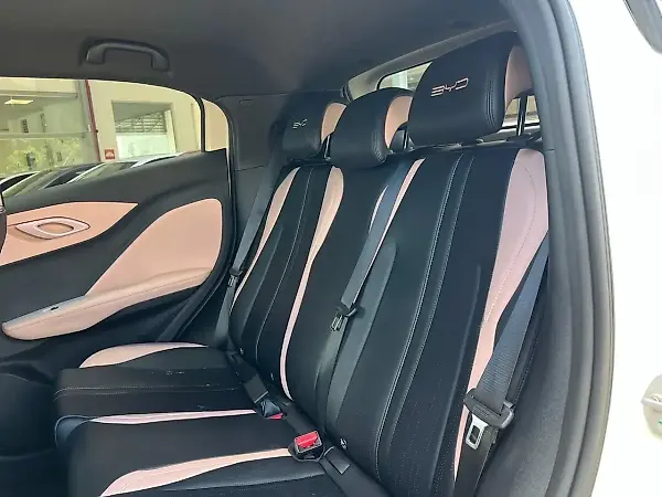 BYD Dolphin Mini - Imagem 13