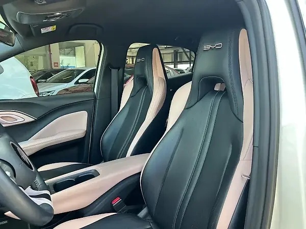 BYD Dolphin Mini - Imagem 15