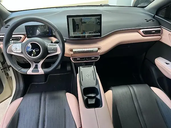 BYD Dolphin Mini - Imagem 14