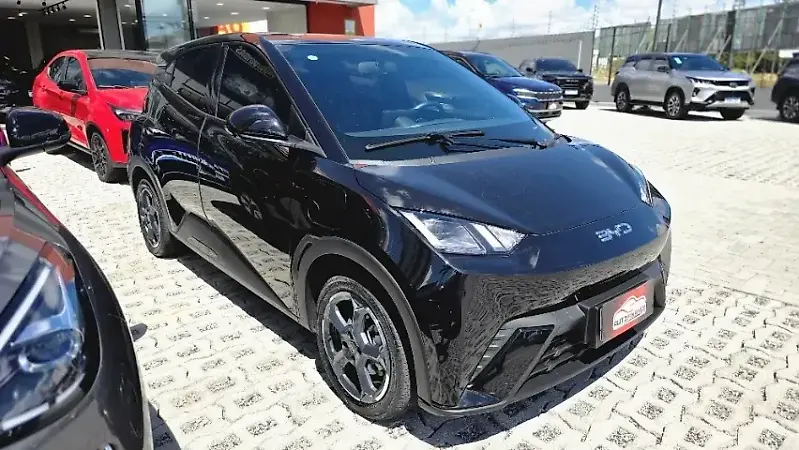 BYD Dolphin Mini - Imagem 11