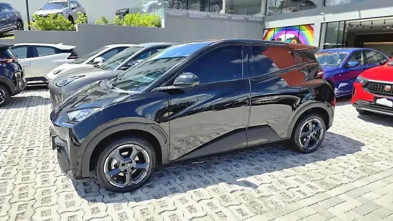 BYD Dolphin Mini - Imagem 15