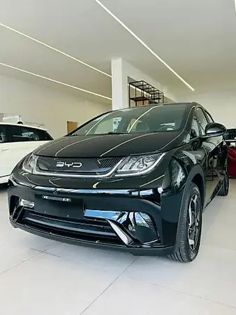 BYD Dolphin - Imagem 1