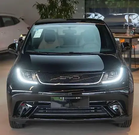 BYD Dolphin - Imagem 1