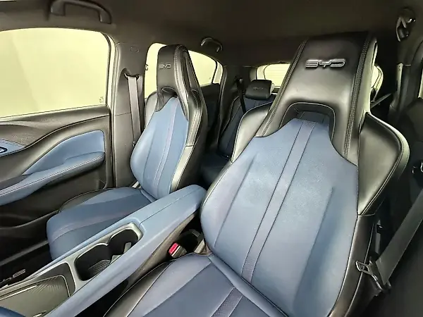 BYD Dolphin Mini - Imagem 19
