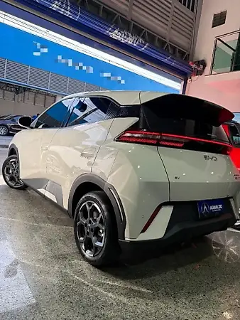 BYD Dolphin Mini - Imagem 6