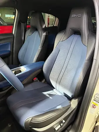 BYD Dolphin Mini - Imagem 11